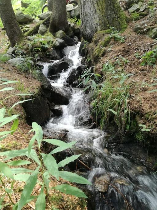 - Tra Pinzolo E Chalet Madonna