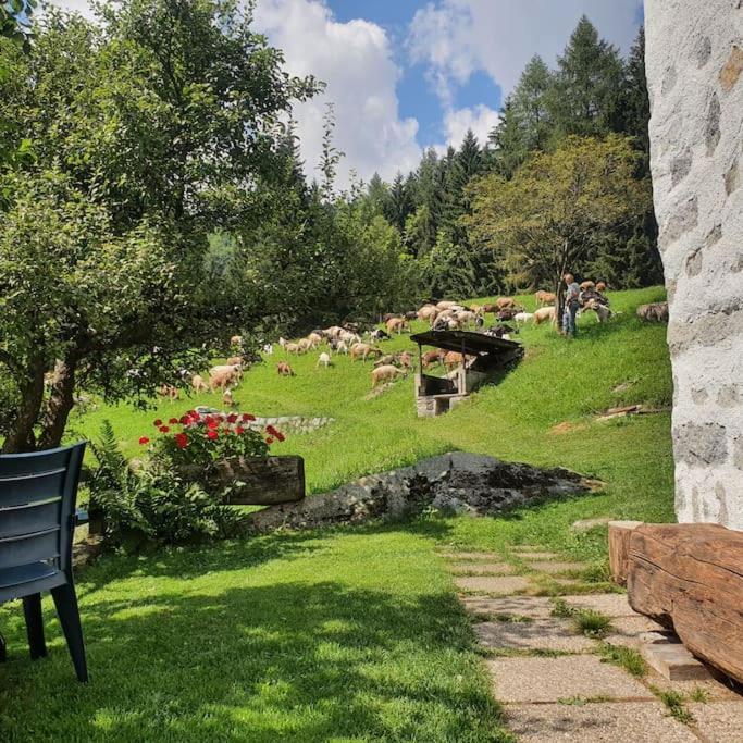 - Tra Pinzolo E