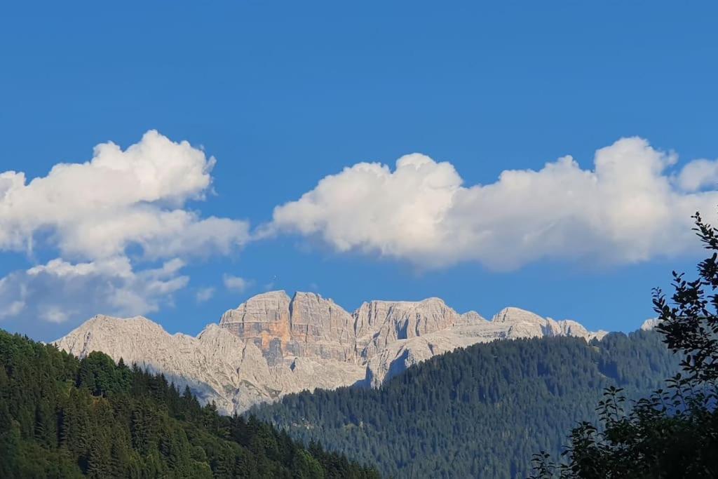 Chalet - Tra Pinzolo E
