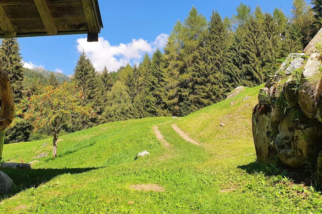 - Tra Pinzolo E * Madonna