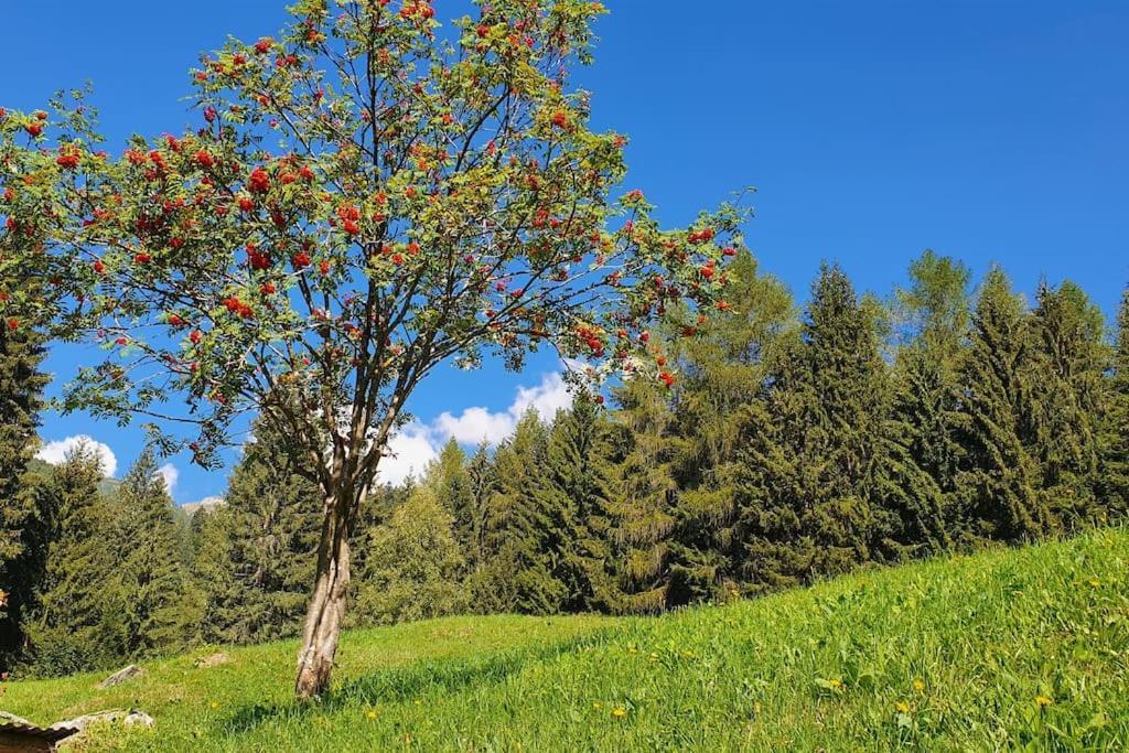 Chalet - Tra Pinzolo E