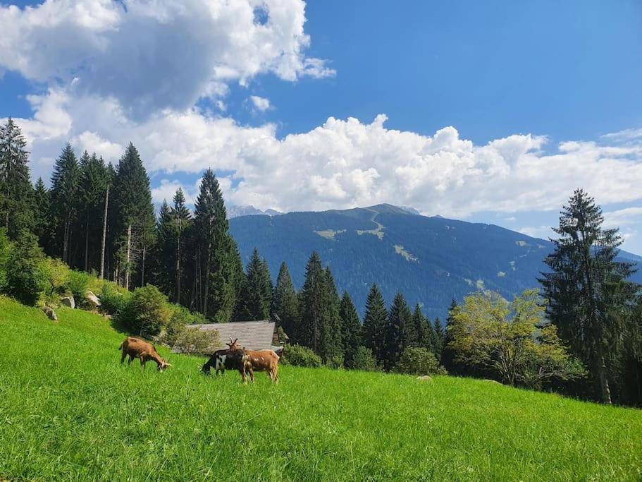 - Tra Pinzolo E Chalet Madonna